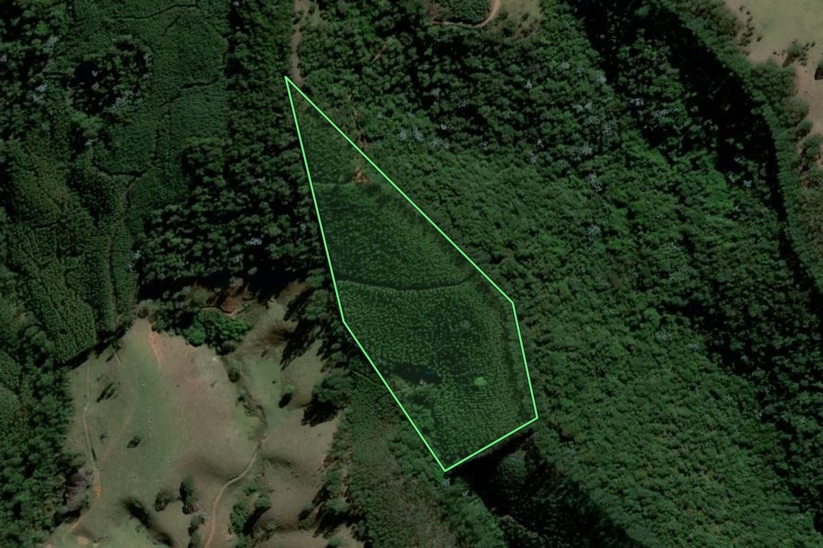 Imagem de satélite do imóvel rural em Piracaia (SP), com o contorno declarado no CAR desenhado por cima.