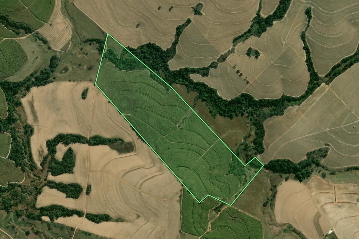 Imagem de satélite do imóvel rural em Piracicaba (SP), com o contorno declarado no CAR desenhado por cima.