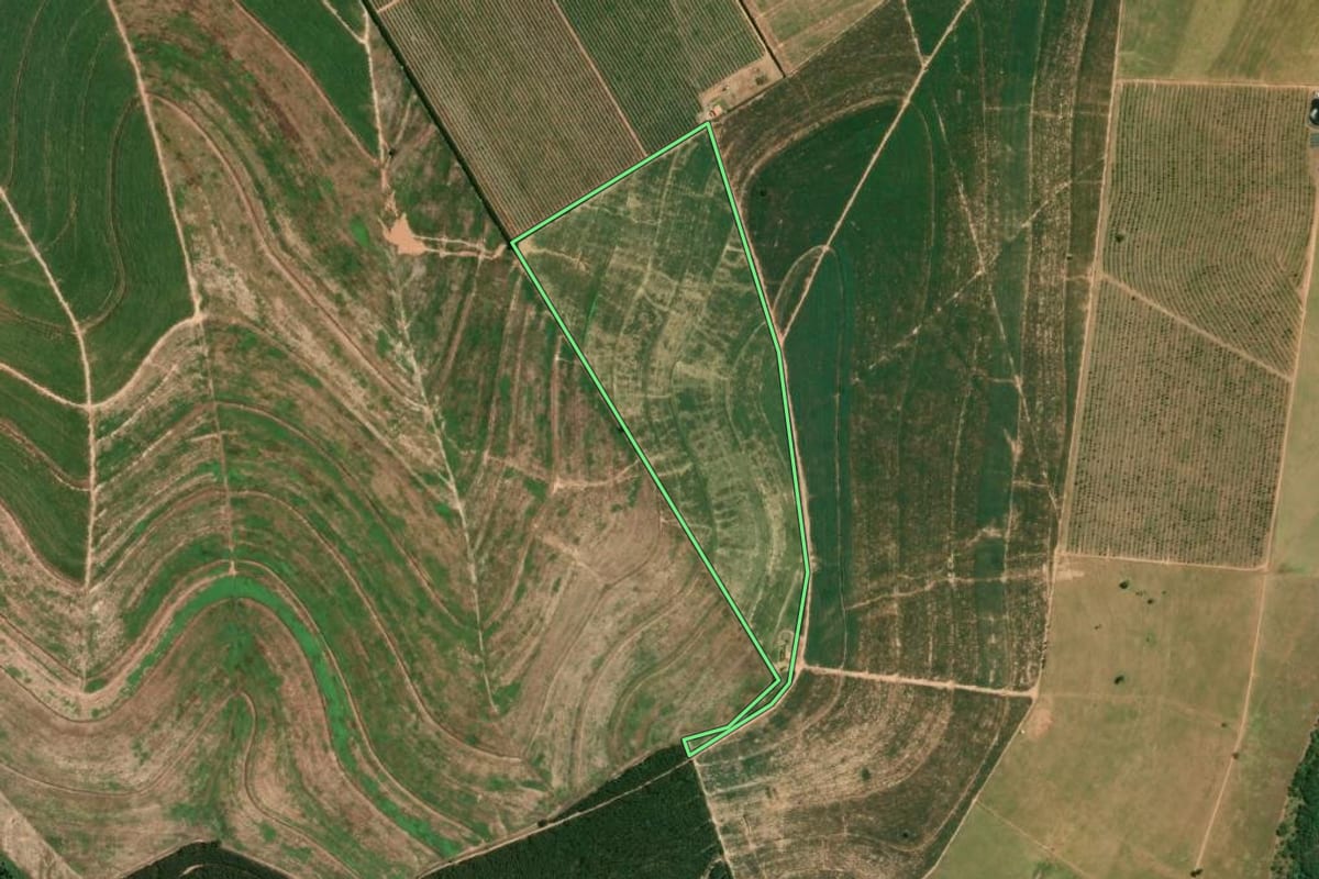 Imagem de satélite do imóvel rural em Piracicaba (SP), com o contorno declarado no CAR desenhado por cima.