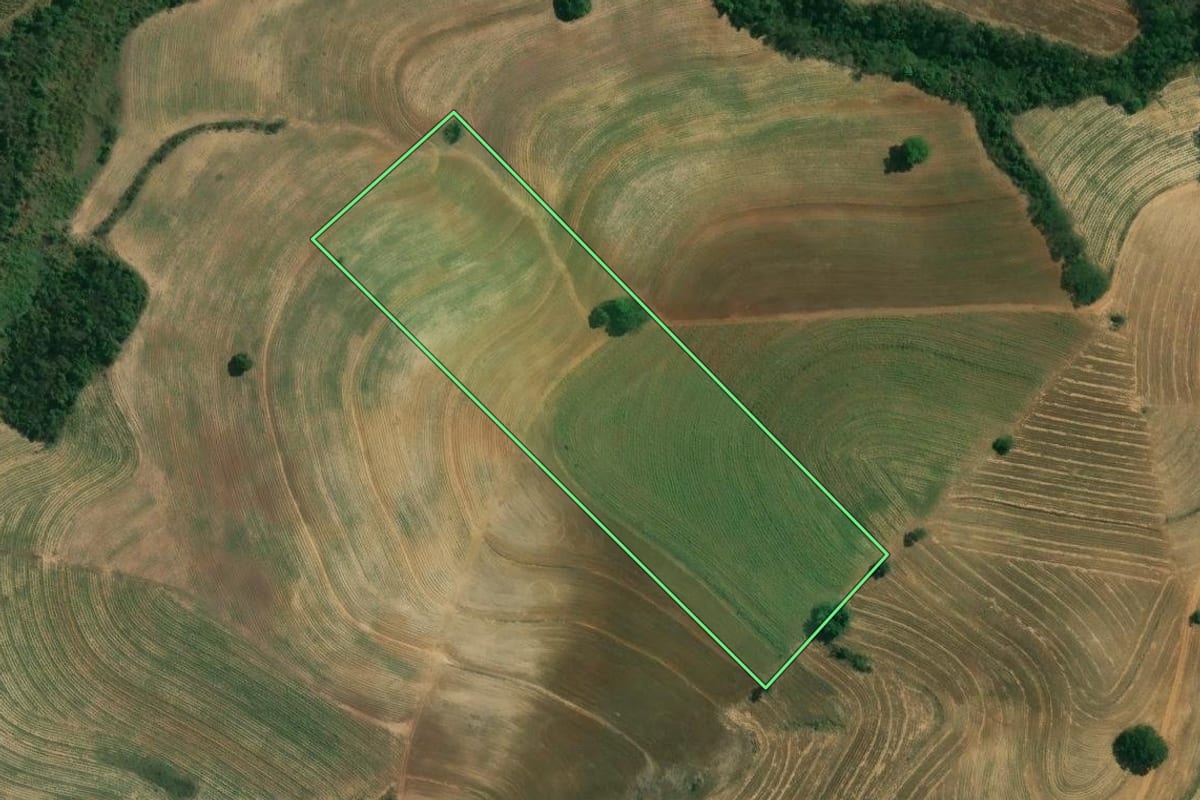 Imagem de satélite do imóvel rural em Piracicaba (SP), com o contorno declarado no CAR desenhado por cima.
