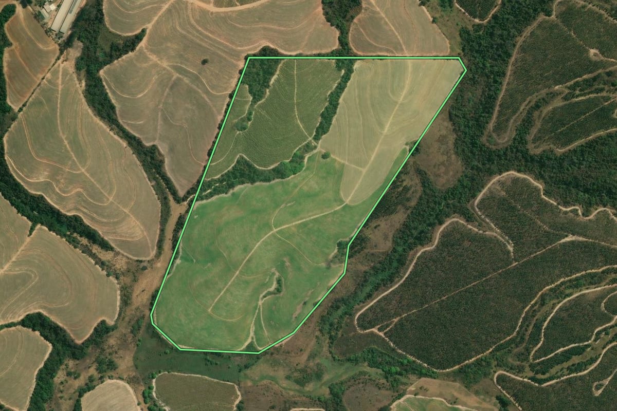 Imagem de satélite do imóvel rural em Piracicaba (SP), com o contorno declarado no CAR desenhado por cima.