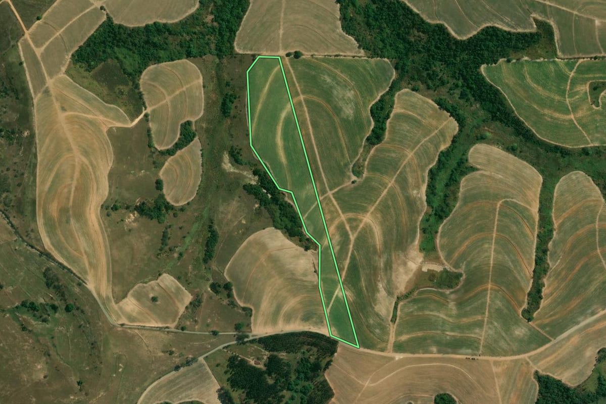 Imagem de satélite do imóvel rural em Piracicaba (SP), com o contorno declarado no CAR desenhado por cima.