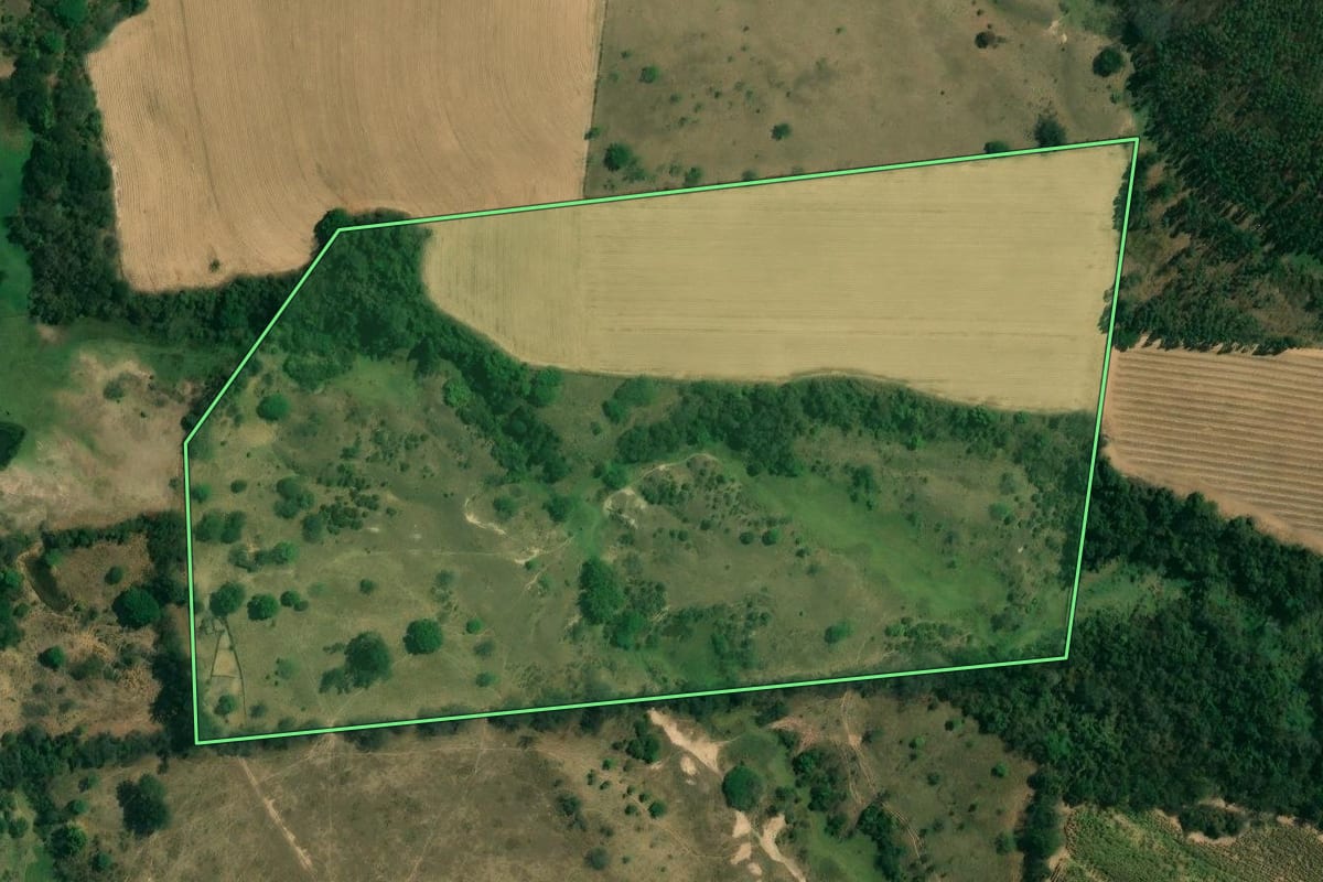 Imagem de satélite do imóvel rural em Piracicaba (SP), com o contorno declarado no CAR desenhado por cima.