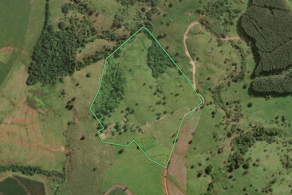 Imagem de satélite do imóvel rural em Piraju (SP), com o contorno declarado no CAR desenhado por cima.
