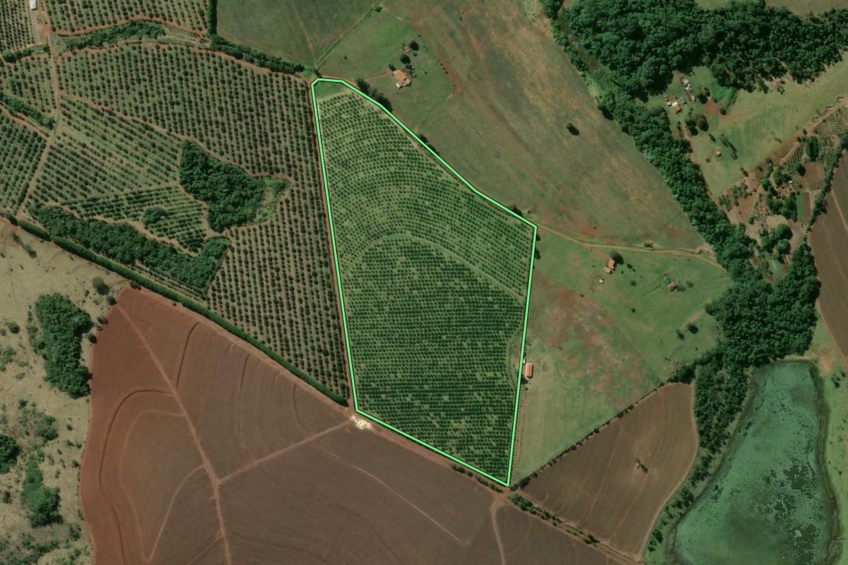Imagem de satélite do imóvel rural em Piraju (SP), com o contorno declarado no CAR desenhado por cima.