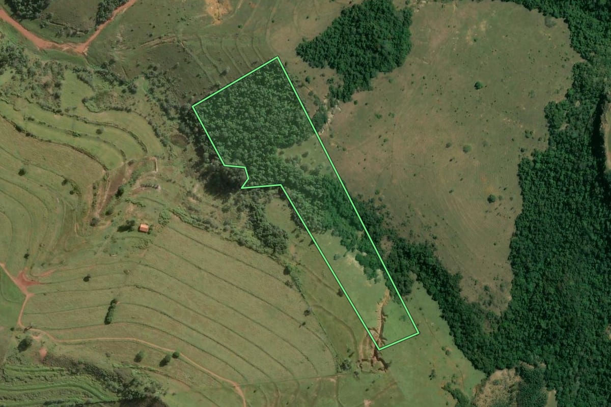 Imagem de satélite do imóvel rural em Piraju (SP), com o contorno declarado no CAR desenhado por cima.