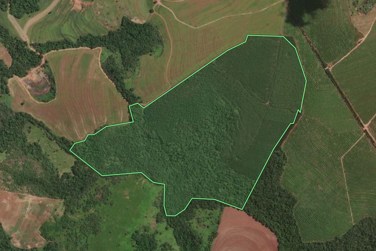 Imagem de satélite do imóvel rural em Piraju (SP), com o contorno declarado no CAR desenhado por cima.