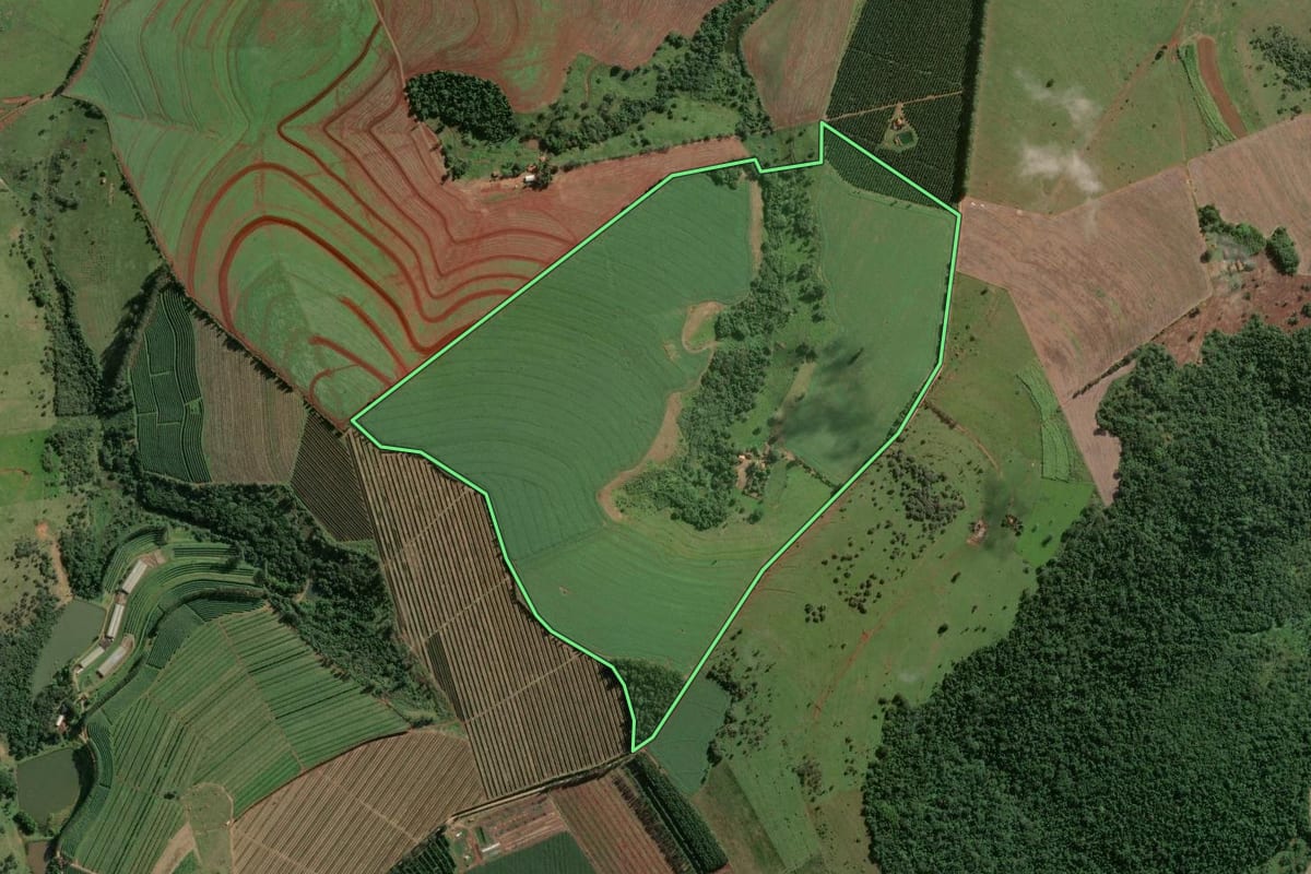 Imagem de satélite do imóvel rural em Piraju (SP), com o contorno declarado no CAR desenhado por cima.