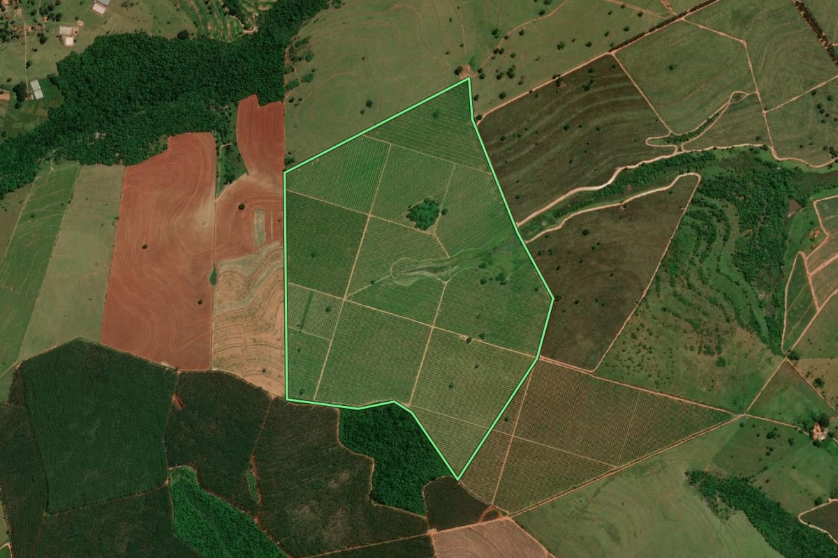 Imagem de satélite do imóvel rural em Presidente Alves (SP), com o contorno declarado no CAR desenhado por cima.