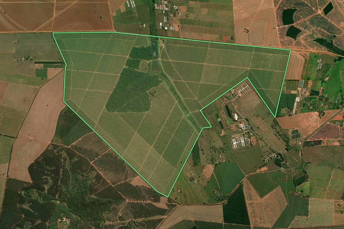 Imagem de satélite do imóvel rural em Pirajuí (SP), com o contorno declarado no CAR desenhado por cima.