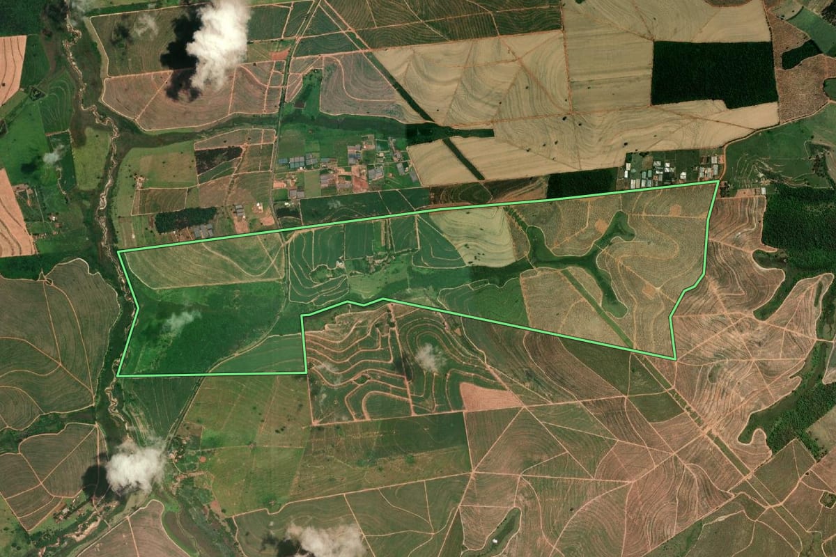 Imagem de satélite do imóvel rural em Pirajuí (SP), com o contorno declarado no CAR desenhado por cima.