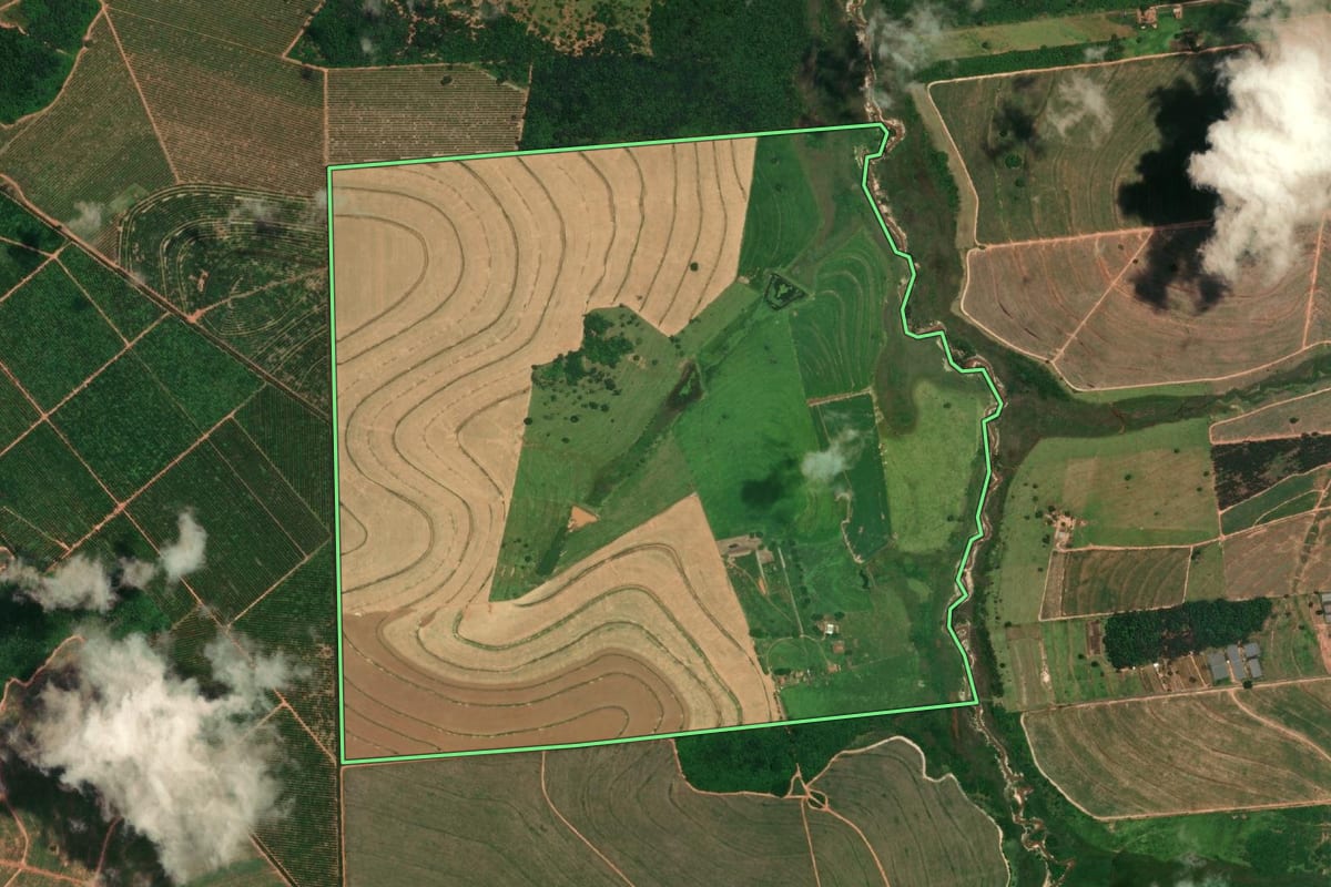 Imagem de satélite do imóvel rural em Pirajuí (SP), com o contorno declarado no CAR desenhado por cima.