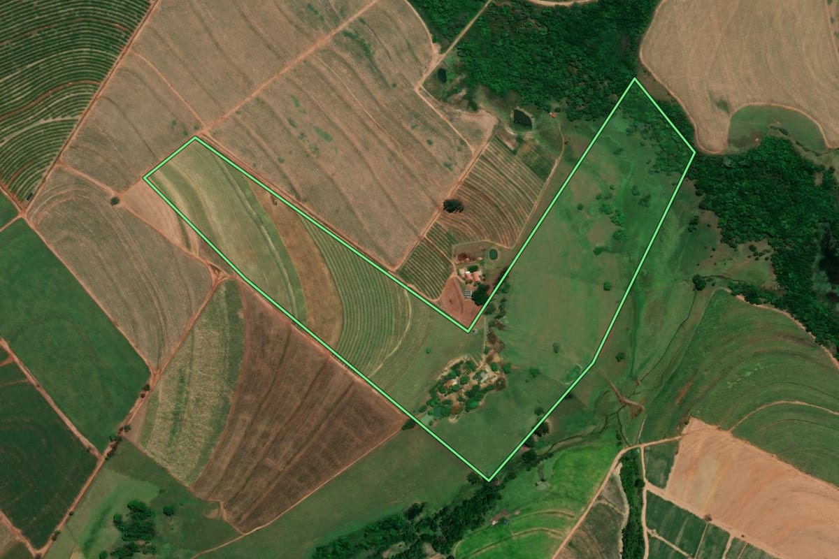 Imagem de satélite do imóvel rural em Pirangi (SP), com o contorno declarado no CAR desenhado por cima.