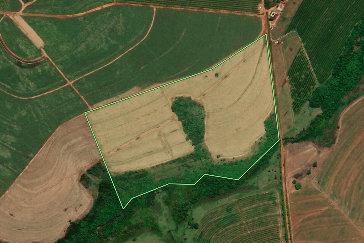 Imagem de satélite do imóvel rural em Pirangi (SP), com o contorno declarado no CAR desenhado por cima.