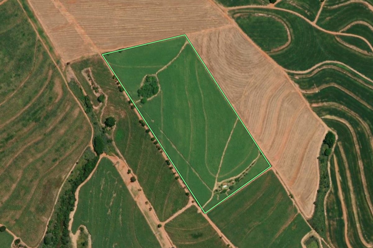 Imagem de satélite do imóvel rural em Pirangi (SP), com o contorno declarado no CAR desenhado por cima.