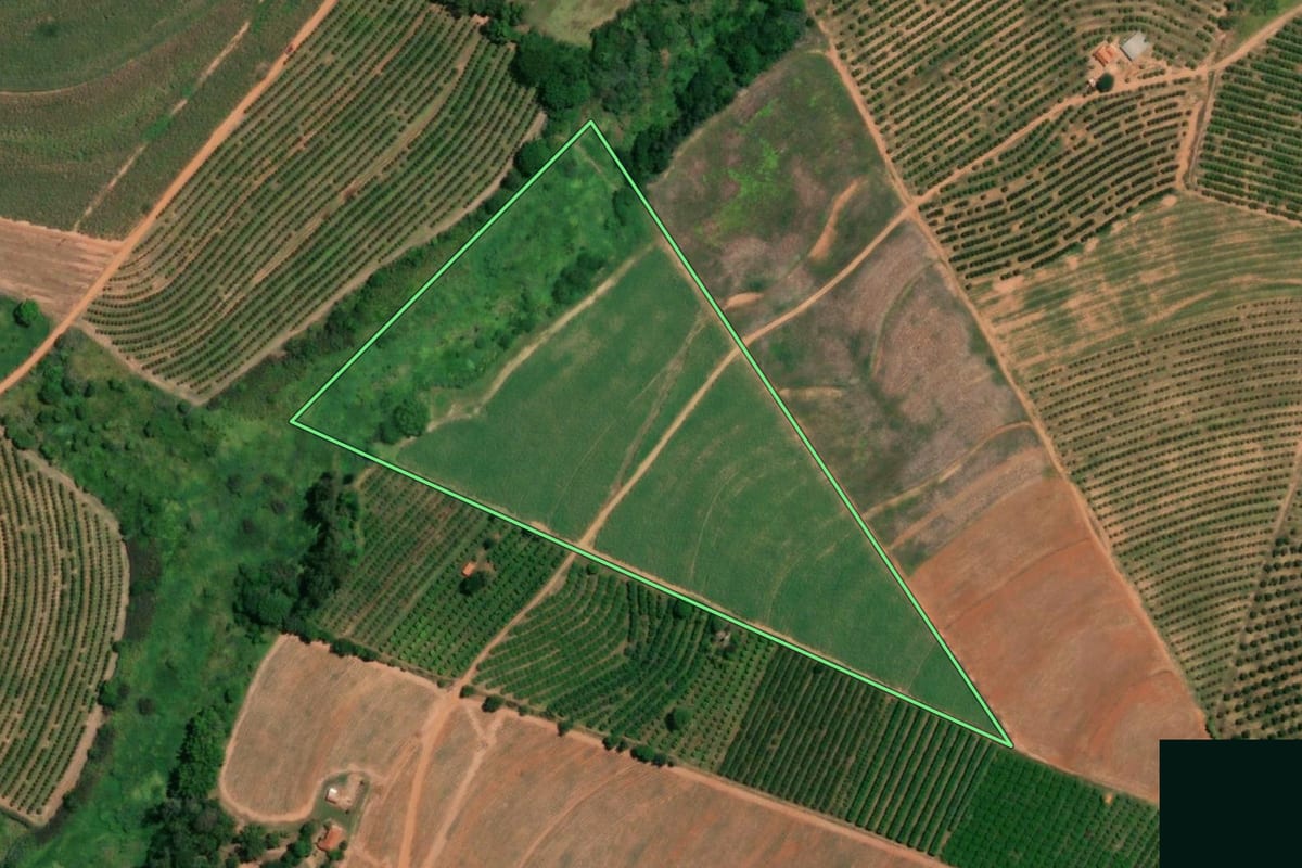 Imagem de satélite do imóvel rural em Pirangi (SP), com o contorno declarado no CAR desenhado por cima.