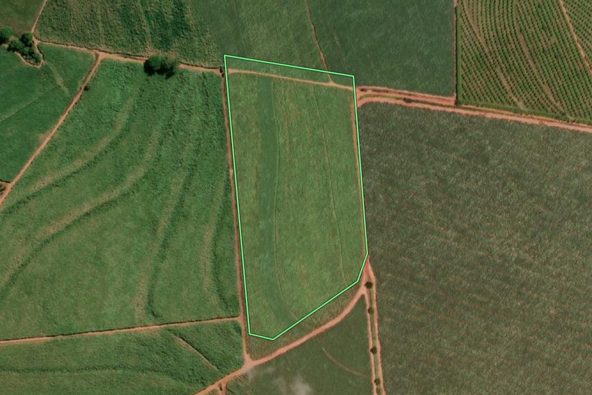 Imagem de satélite do imóvel rural em Pirangi (SP), com o contorno declarado no CAR desenhado por cima.
