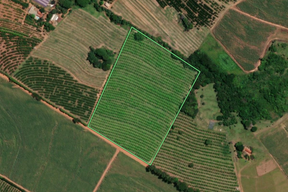 Imagem de satélite do imóvel rural em Pirangi (SP), com o contorno declarado no CAR desenhado por cima.