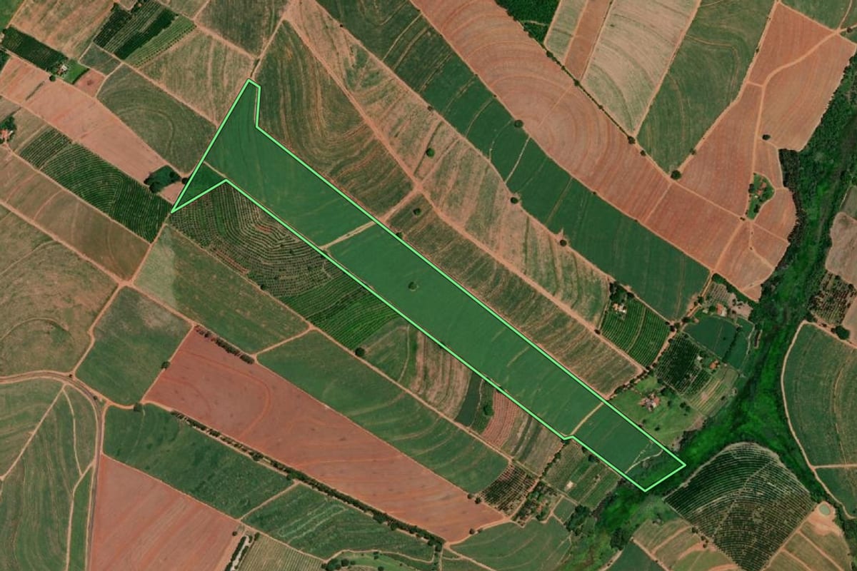 Imagem de satélite do imóvel rural em Pirangi (SP), com o contorno declarado no CAR desenhado por cima.