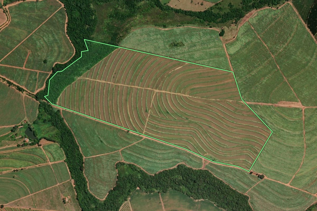 Imagem de satélite do imóvel rural em Pirangi (SP), com o contorno declarado no CAR desenhado por cima.