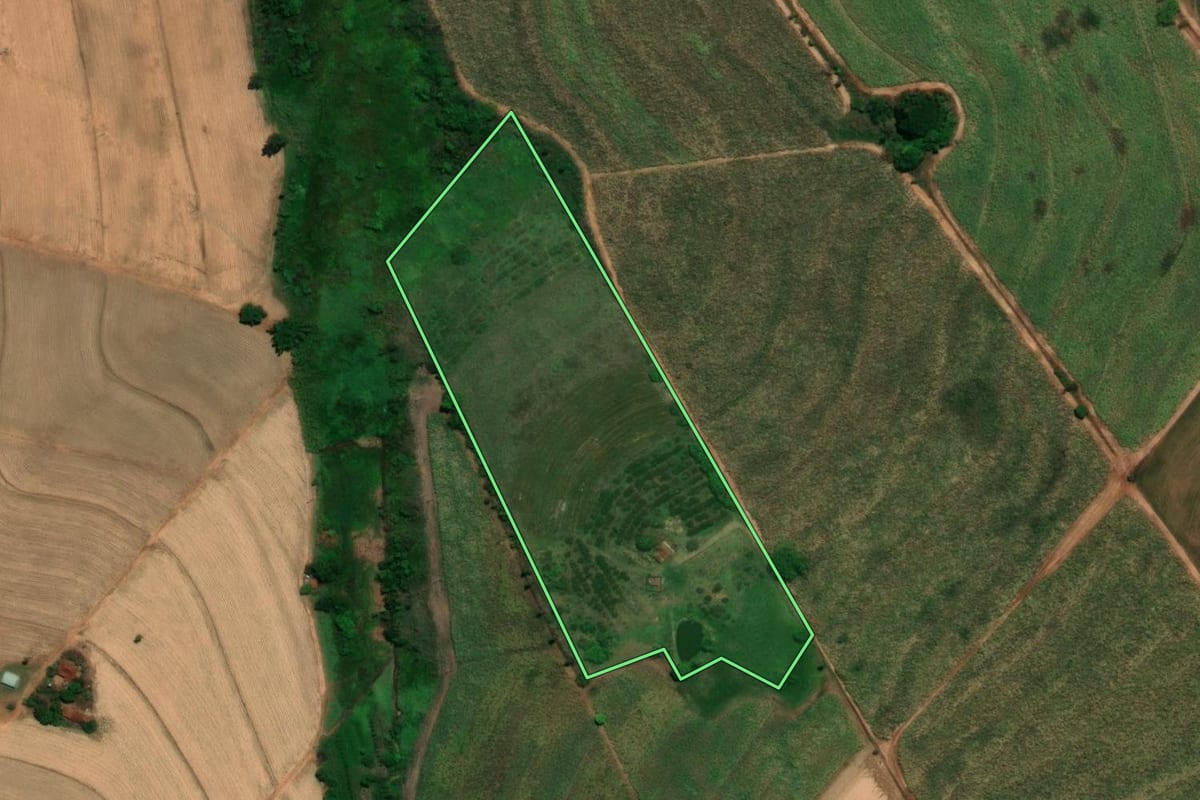 Imagem de satélite do imóvel rural em Pirangi (SP), com o contorno declarado no CAR desenhado por cima.