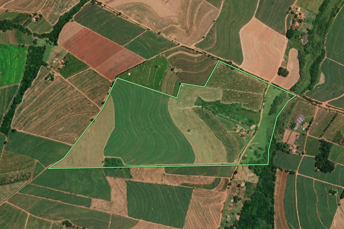 Imagem de satélite do imóvel rural em Pirangi (SP), com o contorno declarado no CAR desenhado por cima.