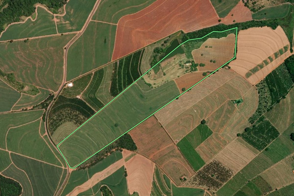 Imagem de satélite do imóvel rural em Pirangi (SP), com o contorno declarado no CAR desenhado por cima.