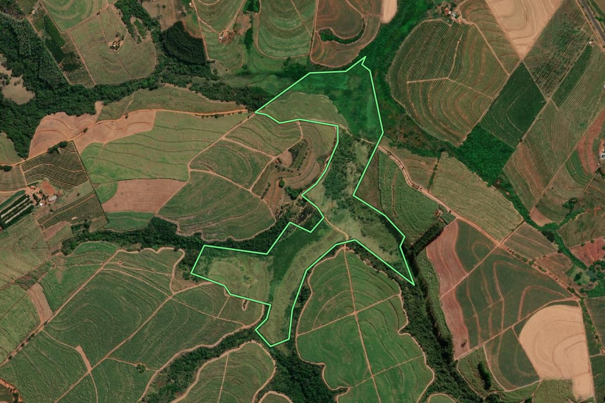 Imagem de satélite do imóvel rural em Pirangi (SP), com o contorno declarado no CAR desenhado por cima.