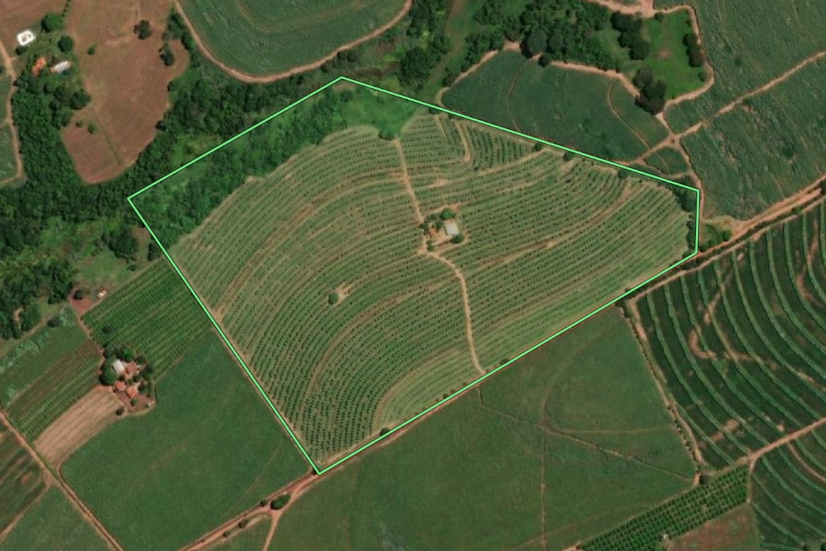 Imagem de satélite do imóvel rural em Pirangi (SP), com o contorno declarado no CAR desenhado por cima.