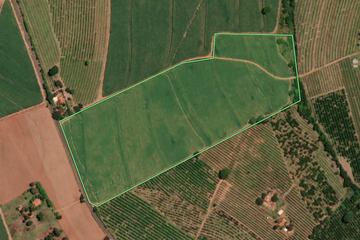 Imagem de satélite do imóvel rural em Pirangi (SP), com o contorno declarado no CAR desenhado por cima.
