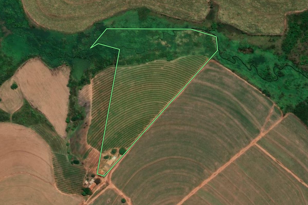 Imagem de satélite do imóvel rural em Pirangi (SP), com o contorno declarado no CAR desenhado por cima.