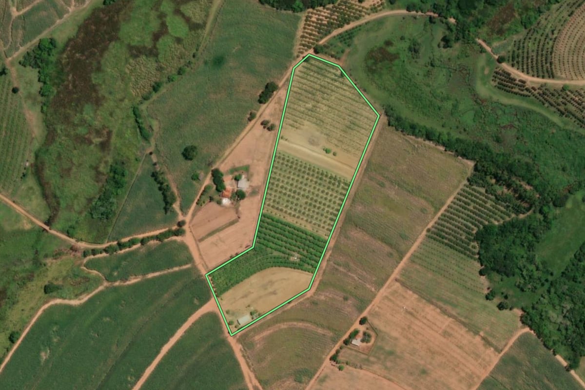 Imagem de satélite do imóvel rural em Pirangi (SP), com o contorno declarado no CAR desenhado por cima.