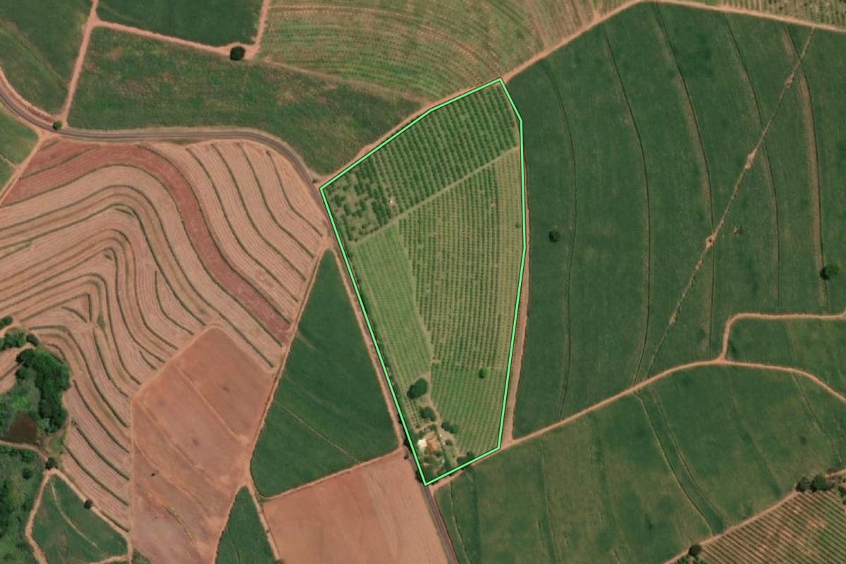 Imagem de satélite do imóvel rural em Pirangi (SP), com o contorno declarado no CAR desenhado por cima.