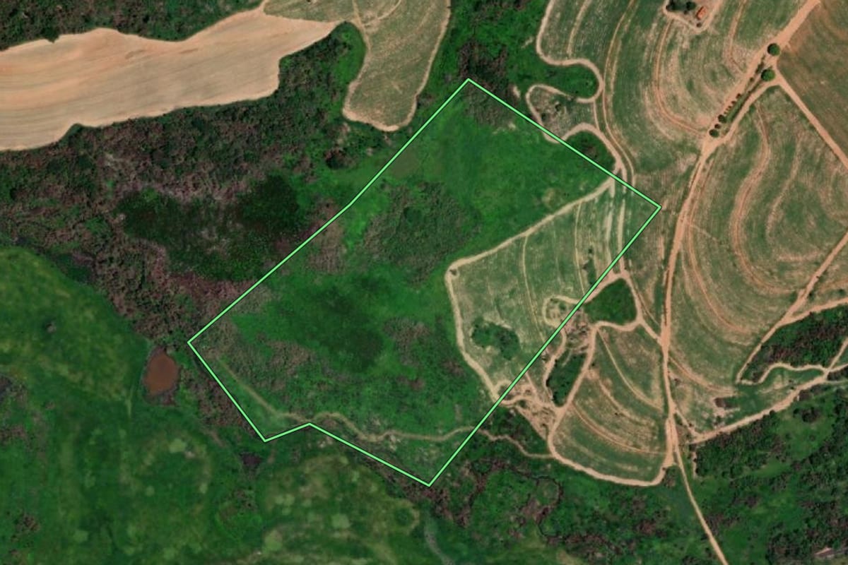 Imagem de satélite do imóvel rural em Pirangi (SP), com o contorno declarado no CAR desenhado por cima.