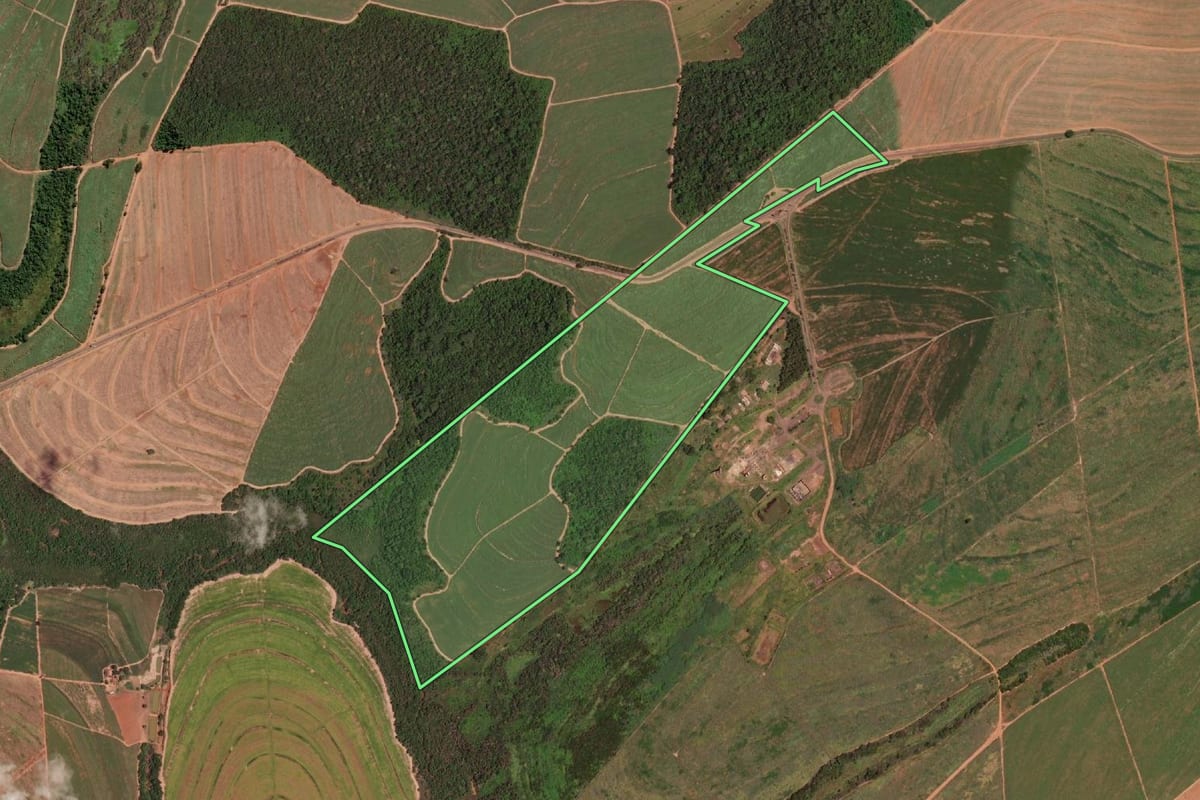 Imagem de satélite do imóvel rural em Pirangi (SP), com o contorno declarado no CAR desenhado por cima.