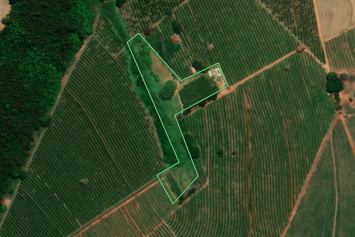 Imagem de satélite do imóvel rural em Pirangi (SP), com o contorno declarado no CAR desenhado por cima.