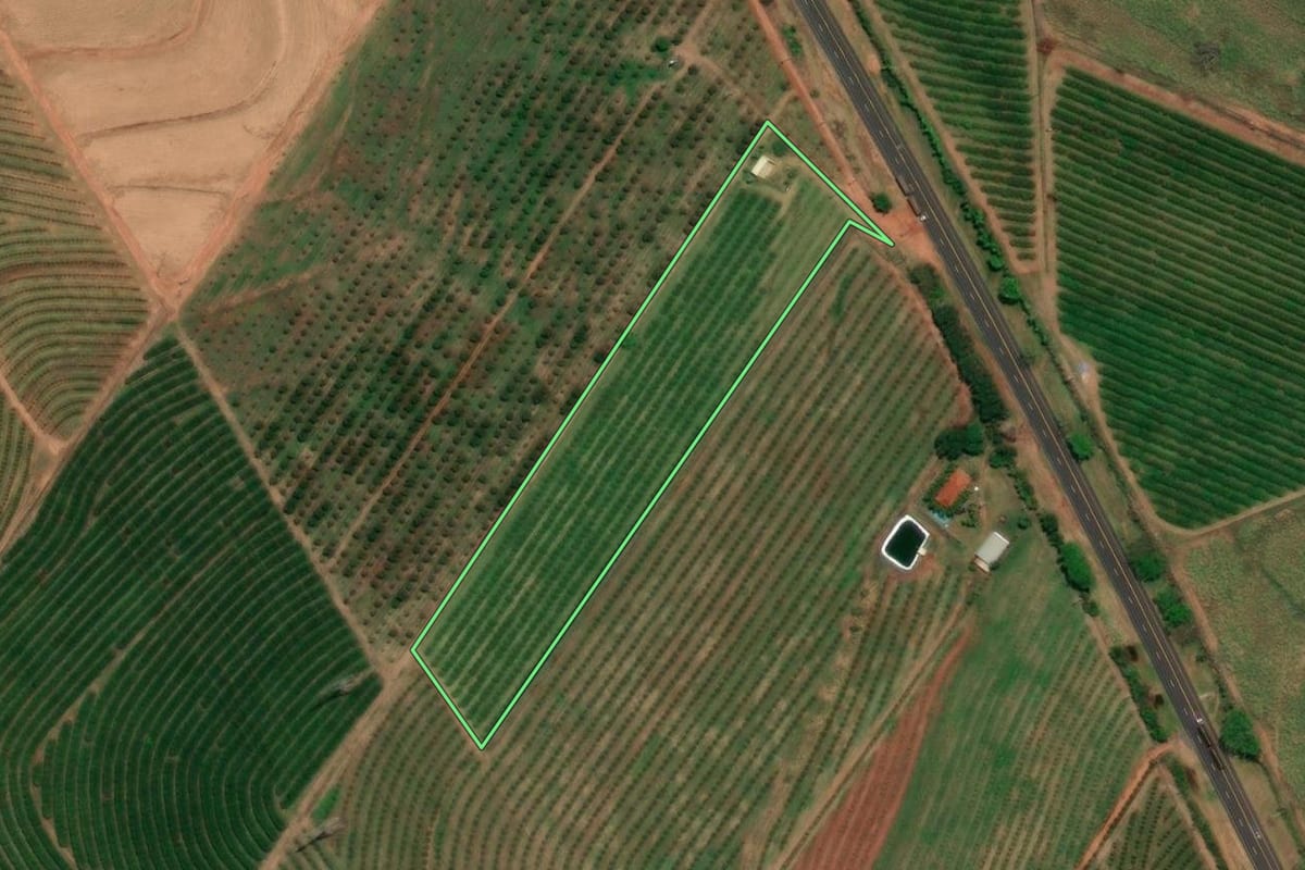 Imagem de satélite do imóvel rural em Pirangi (SP), com o contorno declarado no CAR desenhado por cima.