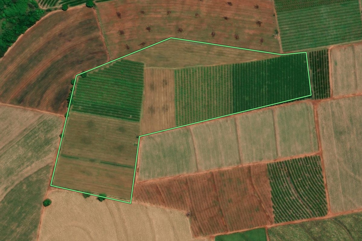 Imagem de satélite do imóvel rural em Pirangi (SP), com o contorno declarado no CAR desenhado por cima.
