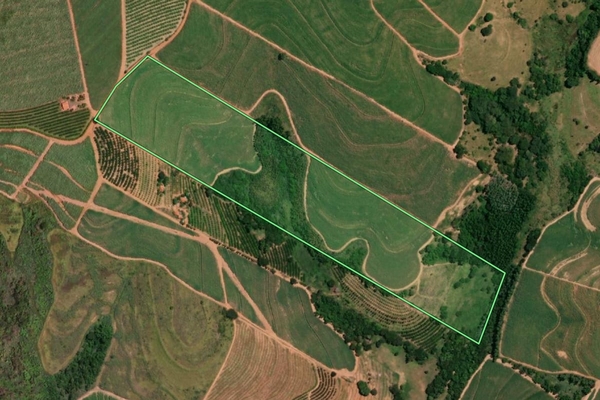 Imagem de satélite do imóvel rural em Pirangi (SP), com o contorno declarado no CAR desenhado por cima.