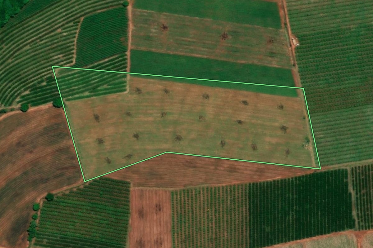 Imagem de satélite do imóvel rural em Pirangi (SP), com o contorno declarado no CAR desenhado por cima.