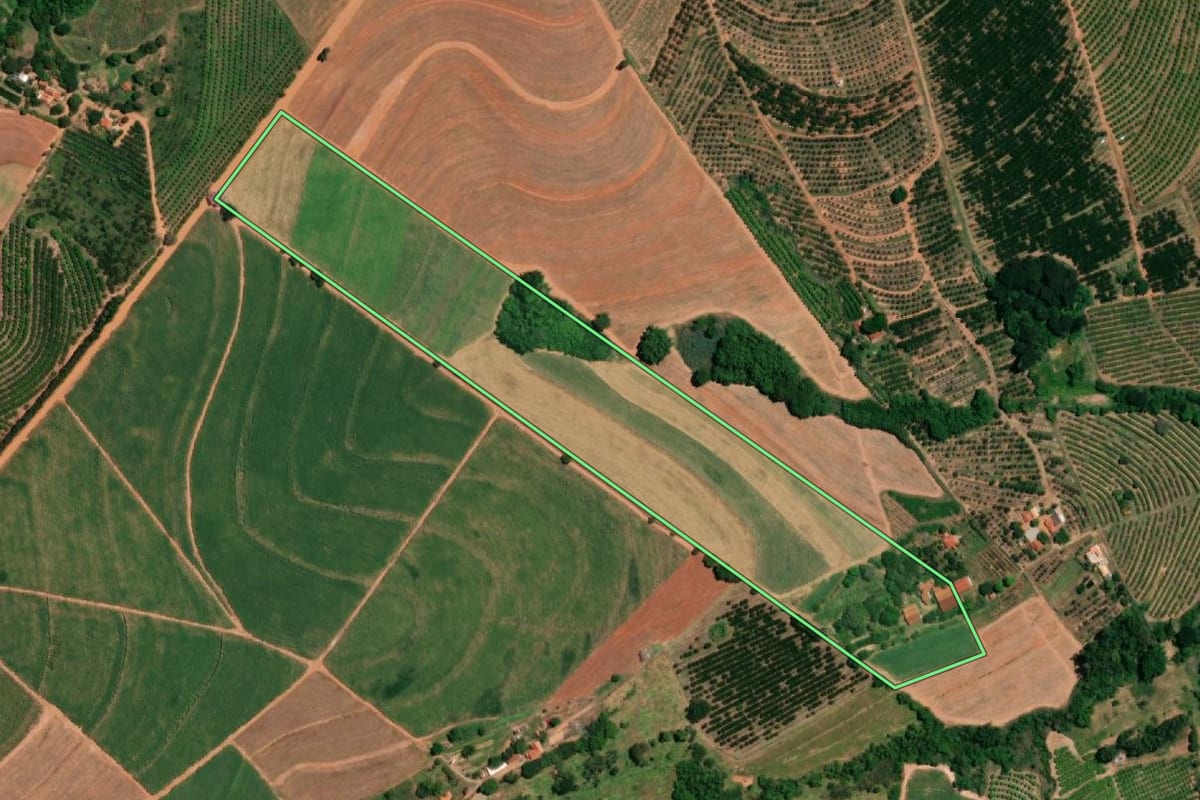 Imagem de satélite do imóvel rural em Pirangi (SP), com o contorno declarado no CAR desenhado por cima.