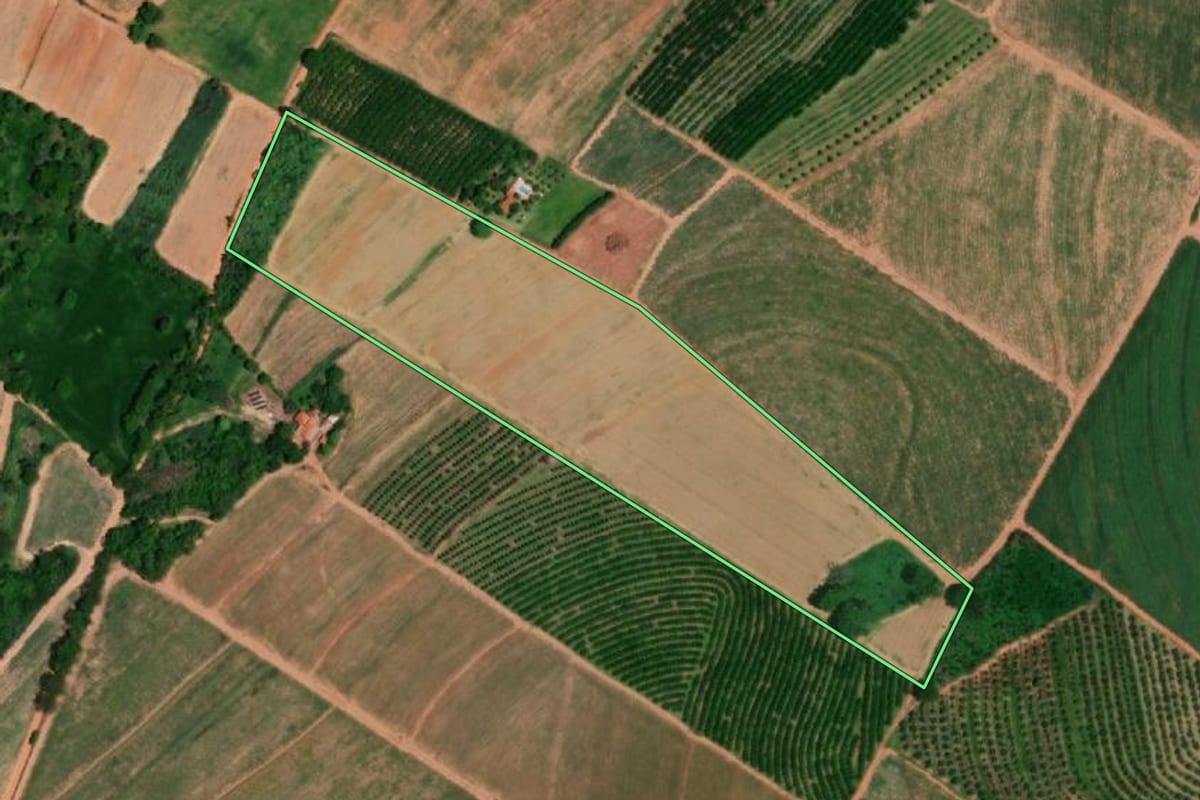 Imagem de satélite do imóvel rural em Pirangi (SP), com o contorno declarado no CAR desenhado por cima.