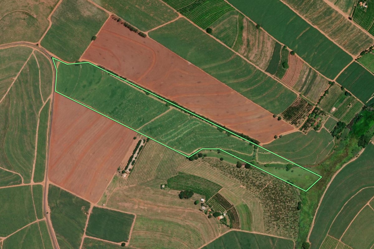 Imagem de satélite do imóvel rural em Pirangi (SP), com o contorno declarado no CAR desenhado por cima.