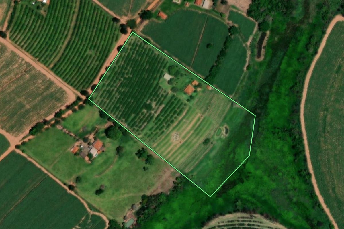 Imagem de satélite do imóvel rural em Pirangi (SP), com o contorno declarado no CAR desenhado por cima.