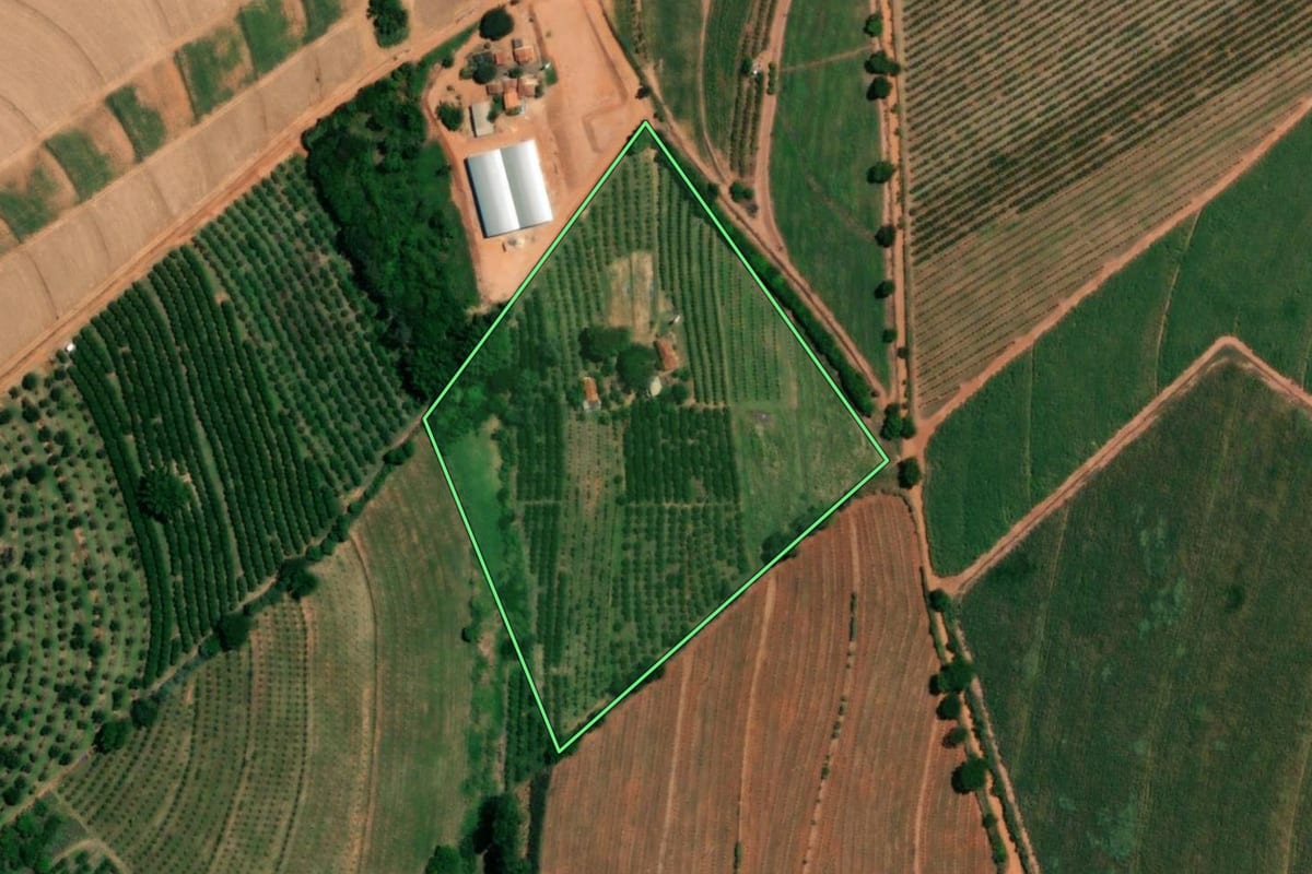 Imagem de satélite do imóvel rural em Pirangi (SP), com o contorno declarado no CAR desenhado por cima.