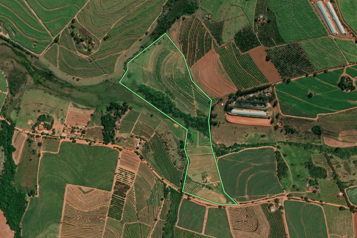 Imagem de satélite do imóvel rural em Pirangi (SP), com o contorno declarado no CAR desenhado por cima.