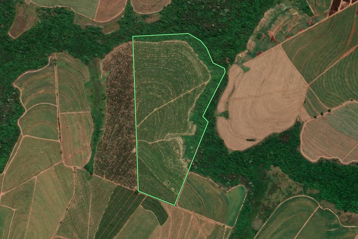 Imagem de satélite do imóvel rural em Pirangi (SP), com o contorno declarado no CAR desenhado por cima.