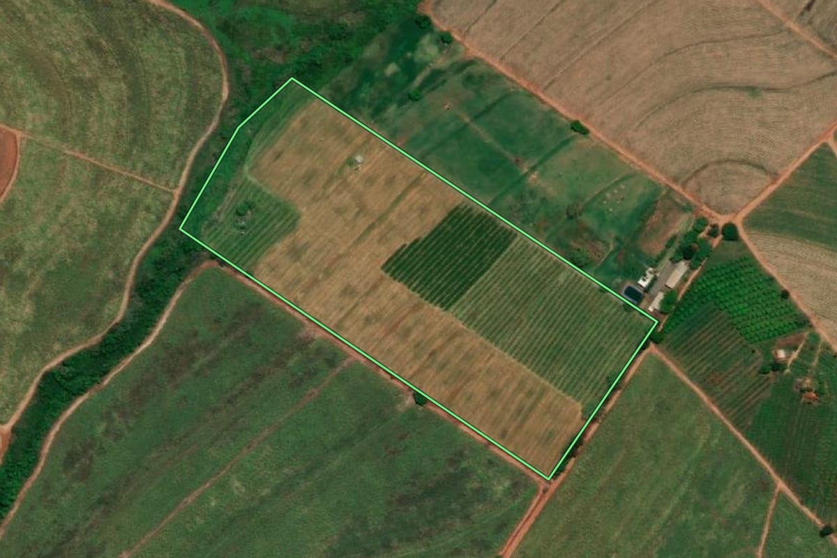 Imagem de satélite do imóvel rural em Pirangi (SP), com o contorno declarado no CAR desenhado por cima.
