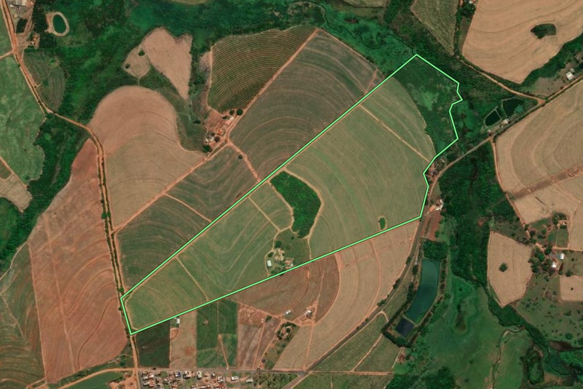 Imagem de satélite do imóvel rural em Pirangi (SP), com o contorno declarado no CAR desenhado por cima.