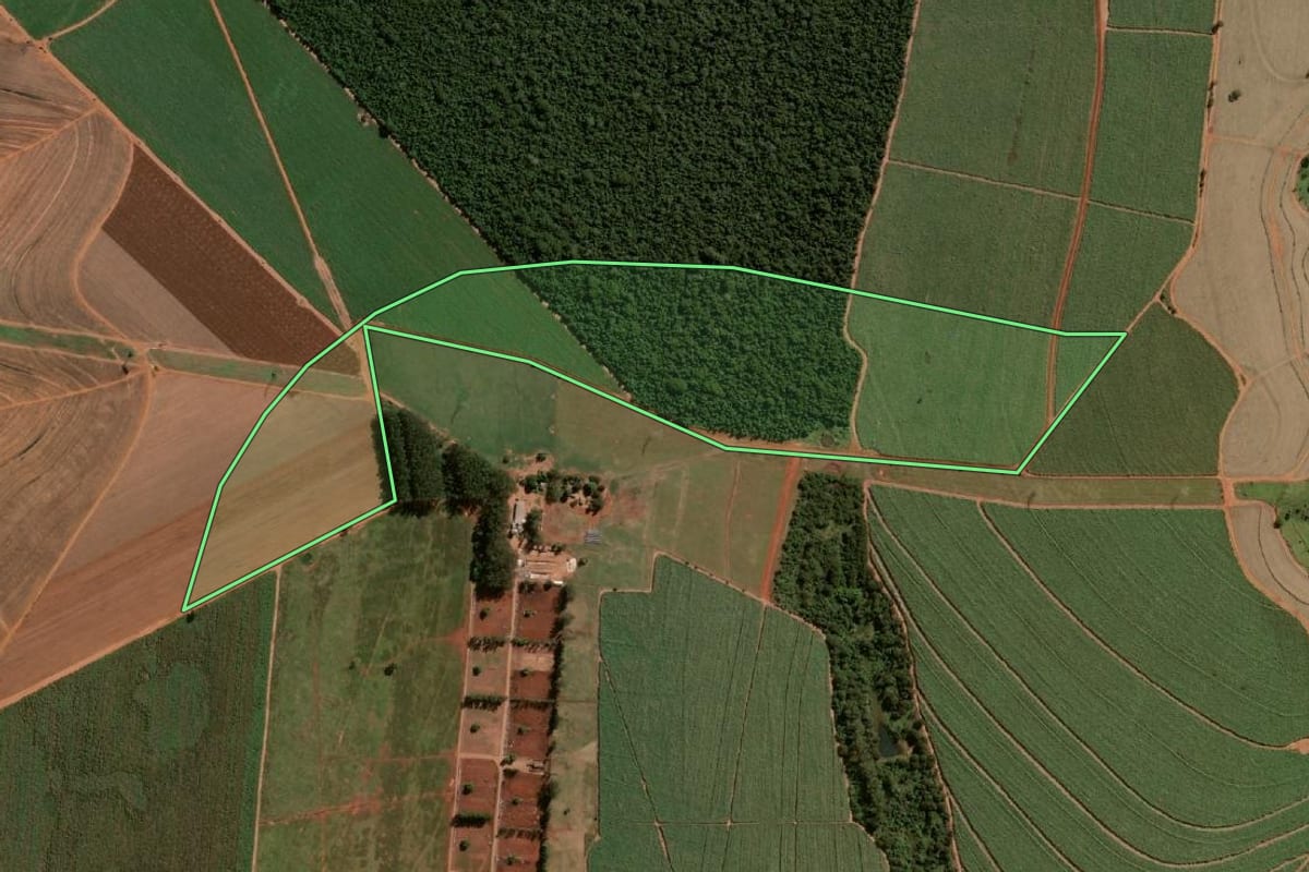 Imagem de satélite do imóvel rural em Pirapozinho (SP), com o contorno declarado no CAR desenhado por cima.